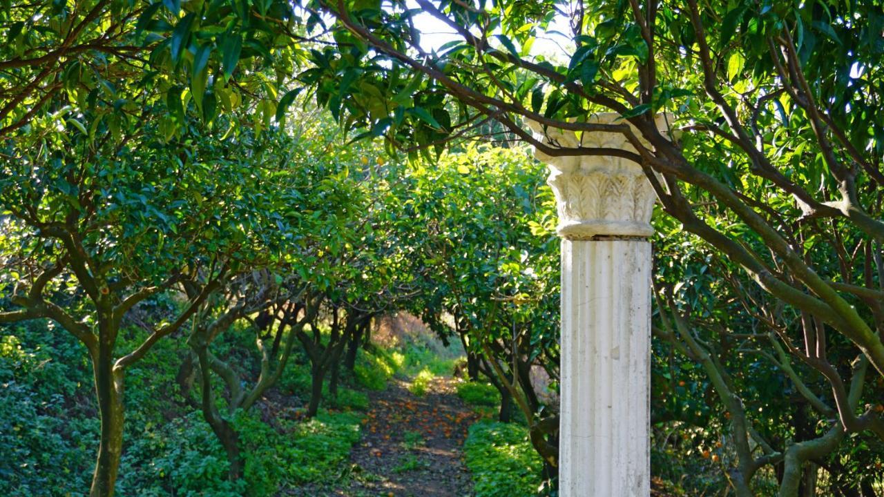 Tenuta Convivium Pozzuoli Zewnętrze zdjęcie